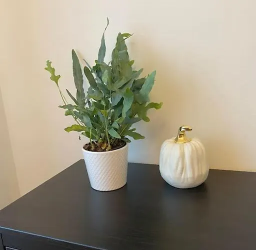 Modern 2-bedroom With Terrace & Free Parking